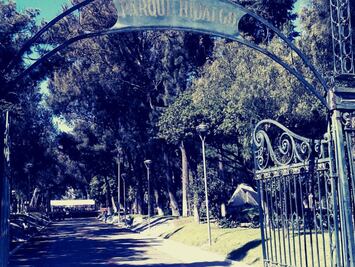 La leyenda del Niño del Árbol en el Parque Hidalgo de Pachuca