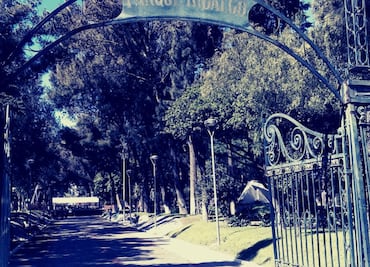 La leyenda del Niño del Árbol en el Parque Hidalgo de Pachuca