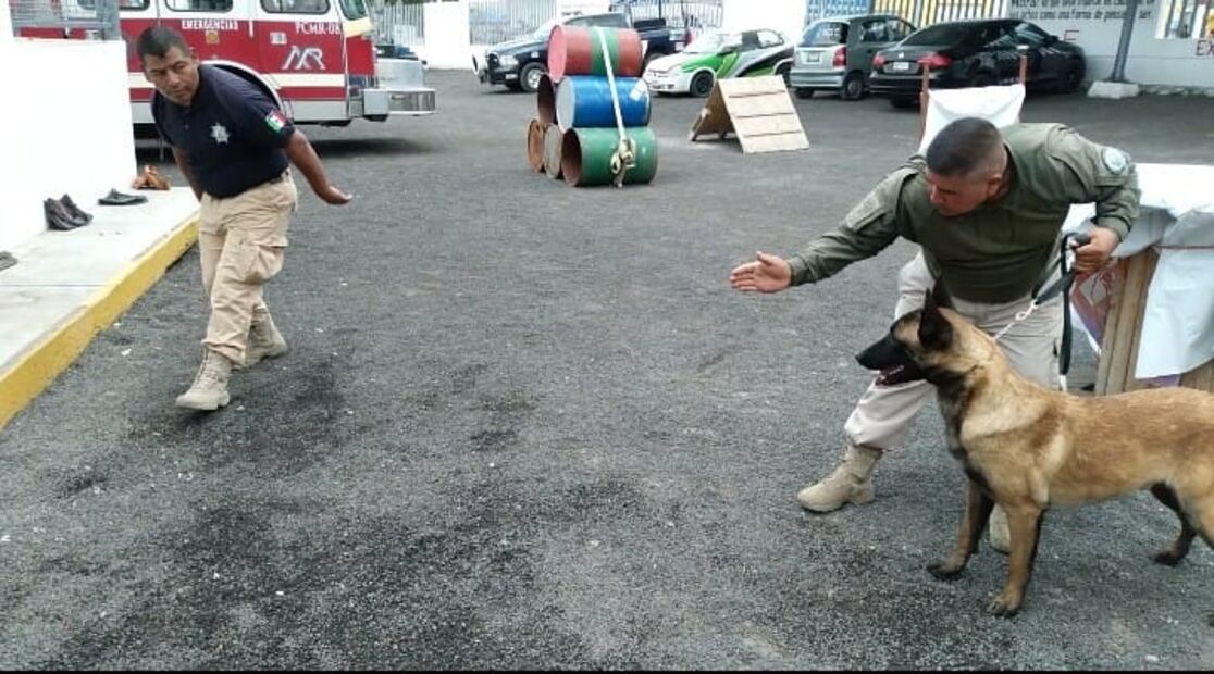 12 elementos policiales integra la unidad “K-Nine” en la policía de Mineral de la Reforma Foto: Carlos Jurado