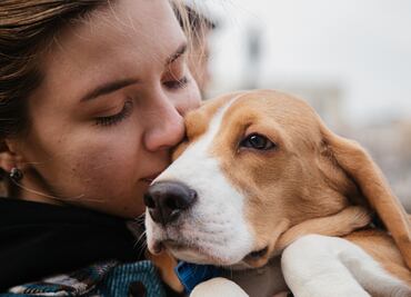 Promueven jornadas gratuitas de esterilización para mascotas en Pachuca
