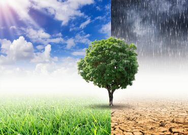 ¿Qué son las cabañuelas 2024 y cuál es su función en el clima?