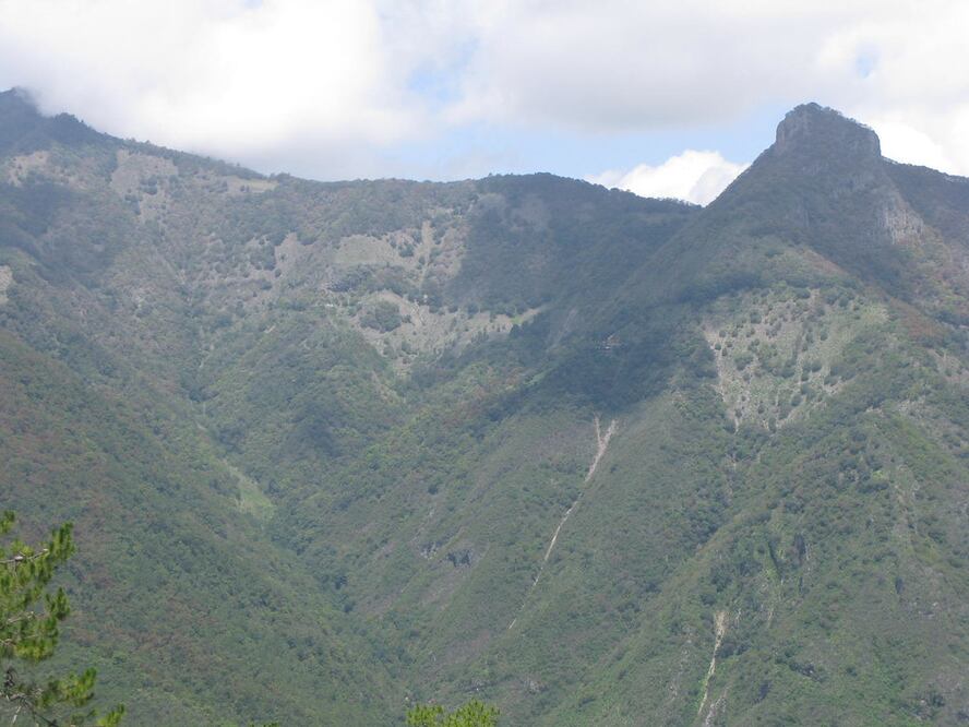 Nicolás Flores se ubica en la región de la Sierra Gorda y colinda con los municipios de Zimapán, Jacala de Ledezma, Tlahuiltepa y Cardonal | Foto: Flickr