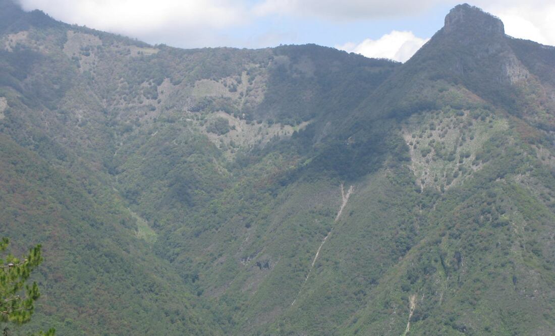 Nicolás Flores se ubica en la región de la Sierra Gorda y colinda con los municipios de Zimapán, Jacala de Ledezma, Tlahuiltepa y Cardonal | Foto: Flickr