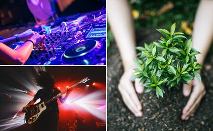 Actopan se prepara para vibrar con la primera edición del Ecobeats Festival, una fusión de música, naturaleza y conciencia ecológica