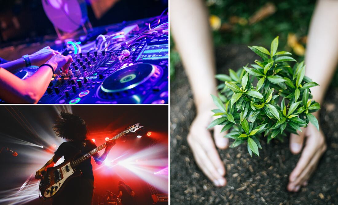 ¡La música y la naturaleza se unen en un solo latido! Fotos: Pexels | Salang889