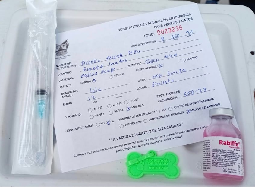 Vacunación antirrábica para perros y gatos será gratuita en Hidalgo | Foto: SSH