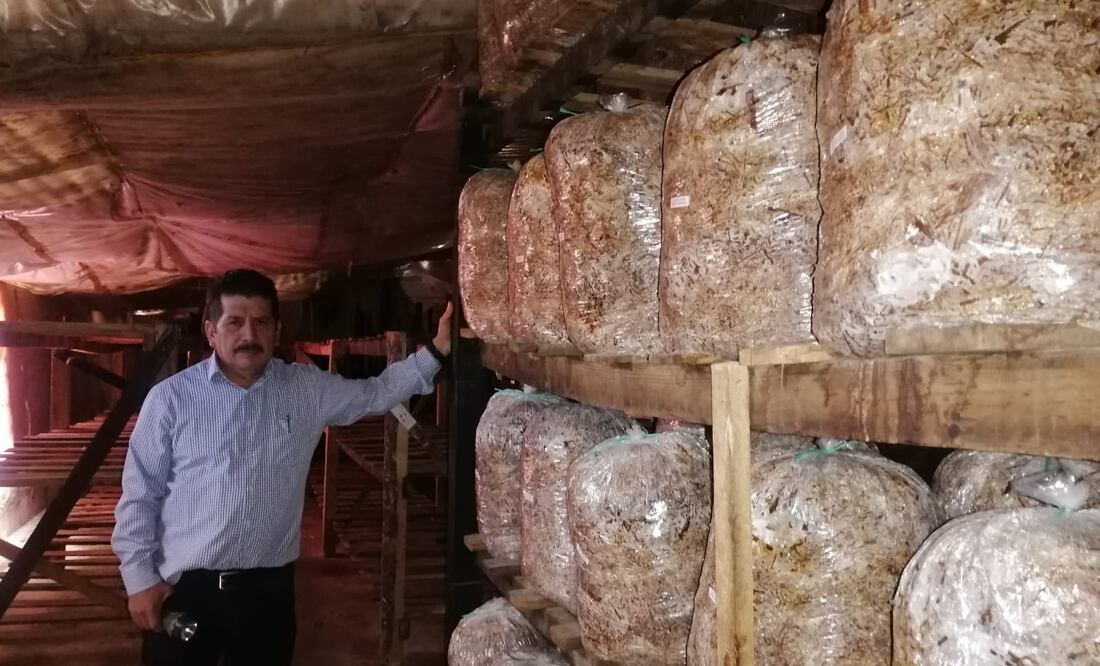 Setas con sabor a esfuerzo y éxito | Foto: Grisel Lira