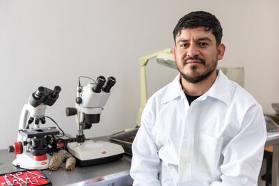 ¿Qué es el Banco de Germoplasma Forestal que se encuentra en Hidalgo?