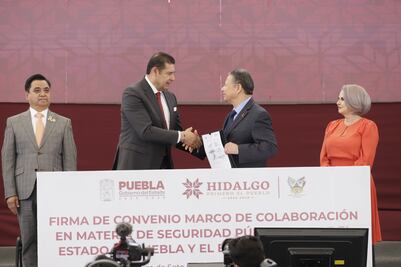 Hidalgo y Puebla comparten problemáticas de tala y robo de combustible