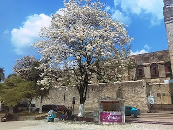 Autoridades atienden situación de emergencia por sequía en Huejutla
