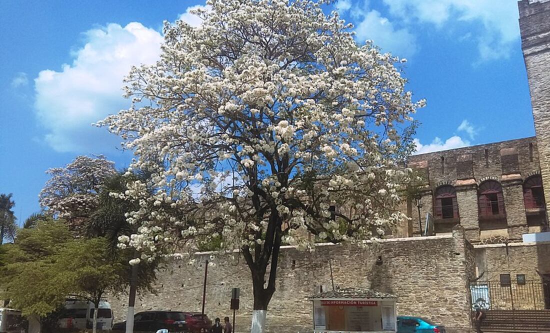 En el municipio de Jaltocán y Huejutla algunos habitantes de colonias y comunidades se unen para buscar mantos acuíferos que puedan abastecer de agua a sus vecinos | Foto: Wikimedia Commons