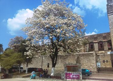 Autoridades atienden situación de emergencia por sequía en Huejutla