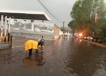 Fuertes lluvias en Tepeji del Río dejan caída de árboles y anegaciones