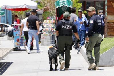 Percepción de la inseguridad disminuye en 7%
