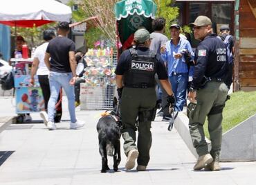 Percepción de la inseguridad disminuye en 7%