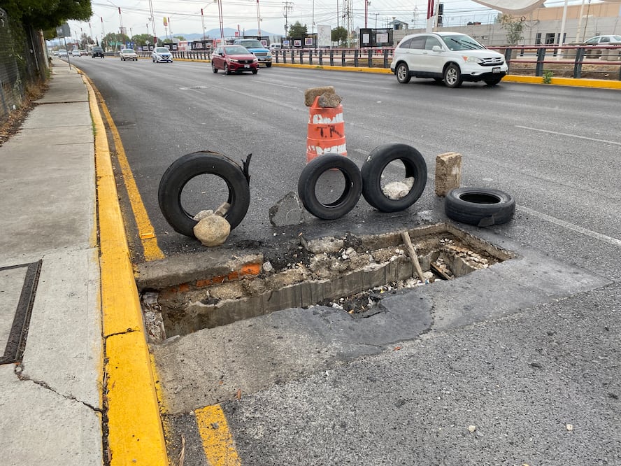 Foto: Ricardo Calleja