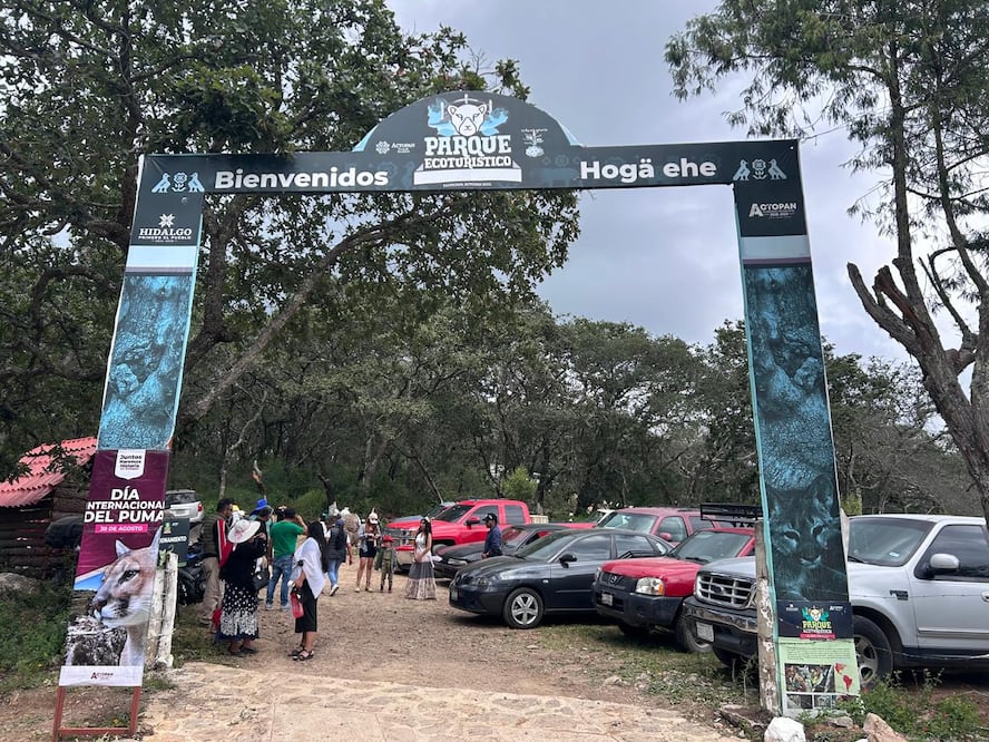 El servicio de taxi hasta el centro ecoturístico tiene un costo de 250 pesos | Foto: Erika Gutierrez