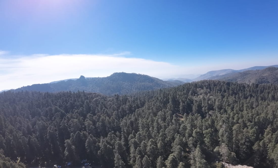 Parque Nacional El Chico I Foto: Josué Ortiz
