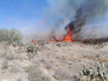 Incendio forestal activa labores de brigadas en Cerro Alto, Epazoyucan