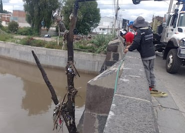 Tula continúa en alerta amarilla; retiran árboles del afluente para evitar tapones