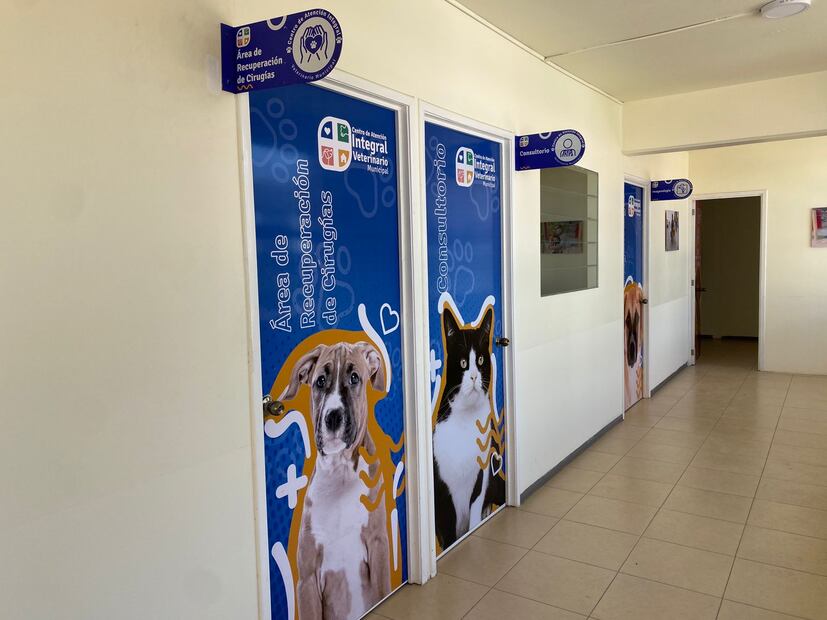Centro de Atención Integral Veterinaria de Pachuca, ubicado a  unos metros de la unidad deportiva de Piracantos. 

Fotos: Ricardo Calleja