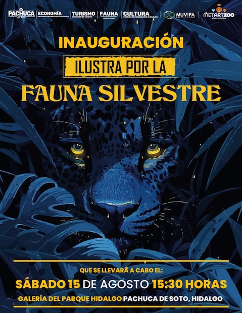 Arte y biodiversidad se unen en exposición con causa en Pachuca | Cortesía: ayuntamiento de Pachuca