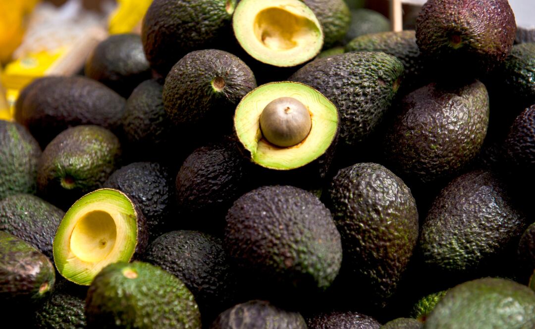 Beneficios del aguacate I Foto: Especial