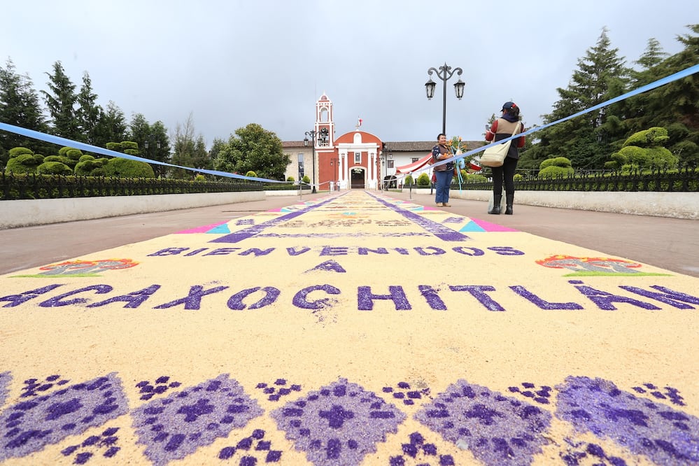Festival del Hongo en Acaxochitlán Foto: UAEH