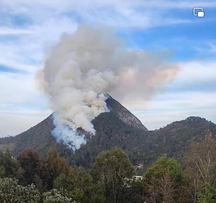En 2024 resultaron afectadas 4 mil 643 hectáreas por incendios forestales en Hidalgo en 185 hecho | Foto: Especial
