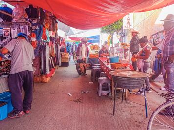 Inspeccionan tianguis de Actopan para proteger áreas verdes
