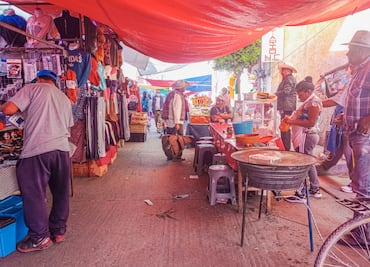 Inspeccionan tianguis de Actopan para proteger áreas verdes