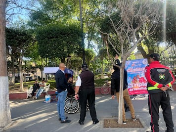 Autoridades implementan acciones para combatir plaga de heno motita en parque Juárez y La Floresta