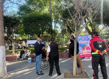 Autoridades implementan acciones para combatir plaga de heno motita en parque Juárez y La Floresta