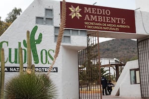 A través del centro de acopio en el PEC, el gobierno de Hidalgo impulsa el reciclaje