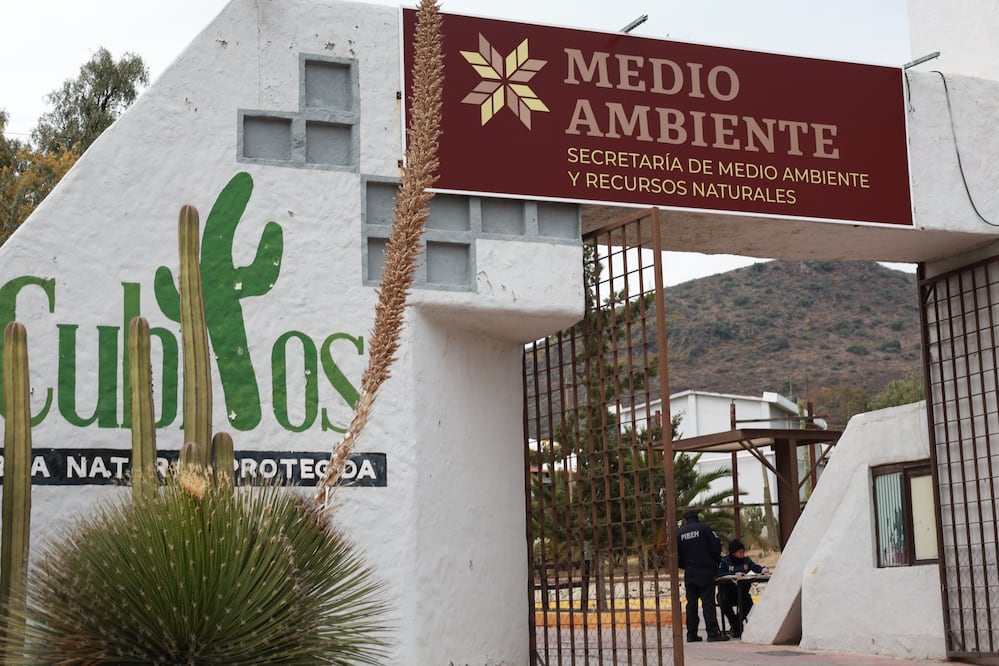 Secretaría de Medio Ambiente de Hidalgo I Foto: Gobierno de Hidalgo