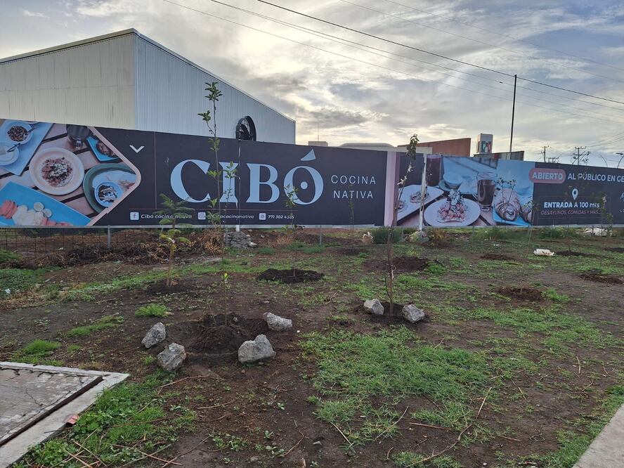 Foto: Cinthya Carbajal