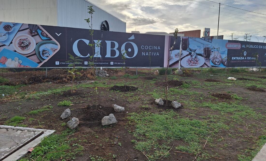 Foto: Cinthya Carbajal