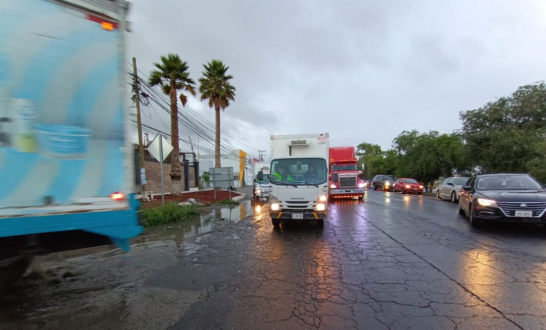 Foto: Giovanni Flores