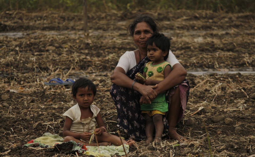 El decreto fue expedido el 23 de diciembre y publicado un día después en el DOF | Foto: Pixabay