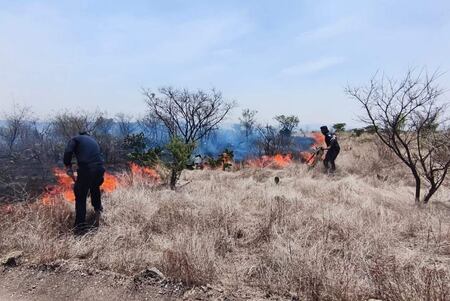 Redujeron incendios forestales en Hidalgo por veda del fuego y lluvias tempranas