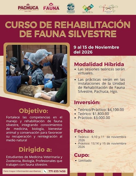 ¿Te gustaría aprender cómo se rehabilita a un animal silvestre? Cortesía: Unidad de Fauna