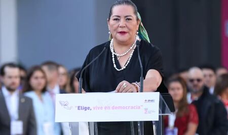 Diputados pluris se asignarán como dice la ley: Guadalupe Taddei; no hay consenso en INE
