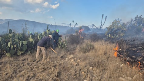 Brigadas laboran en sofocar el incendio de matorrales en el Parque Ecológico de Cubitos