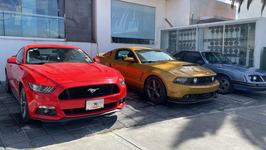 Club Mustang Wild Colts Hidalgo celebra su décimo primer aniversario en Zempoala | Foto: Turismo Hodalgo