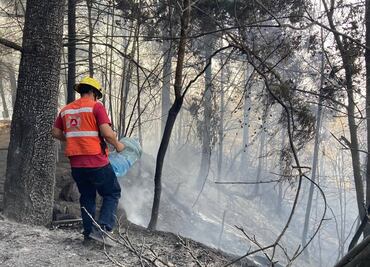 Persisten tres incendios activos en Hidalgo; los sofocarán vía aérea