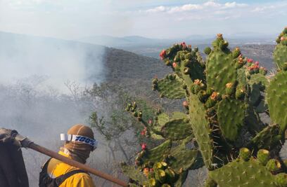 Atienden incendio en el Cerro del Lobo en Tepeji del Río