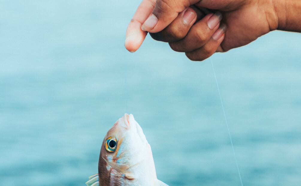 Huasca de Ocampo sede del Cuarto Campeonato Nacional de Pesca Inclusiva | Imagen ilustrativa