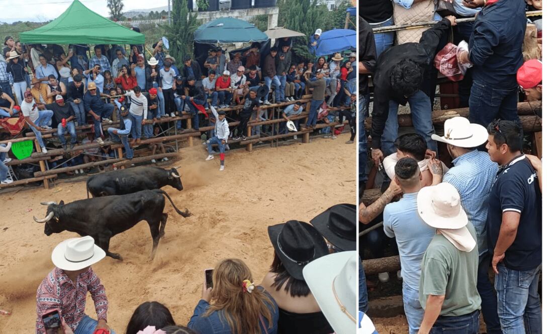 Santiagada 2025 I Foto: Grisel Lira