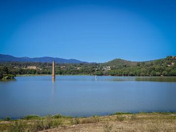 Retiran más de 13 hectáreas de lirio acuático  en presa San Antonio Regla