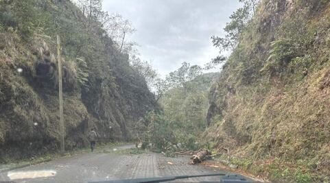 Después de la tormenta, Tenango de Doria enfrenta obstáculos viales por árboles caídos